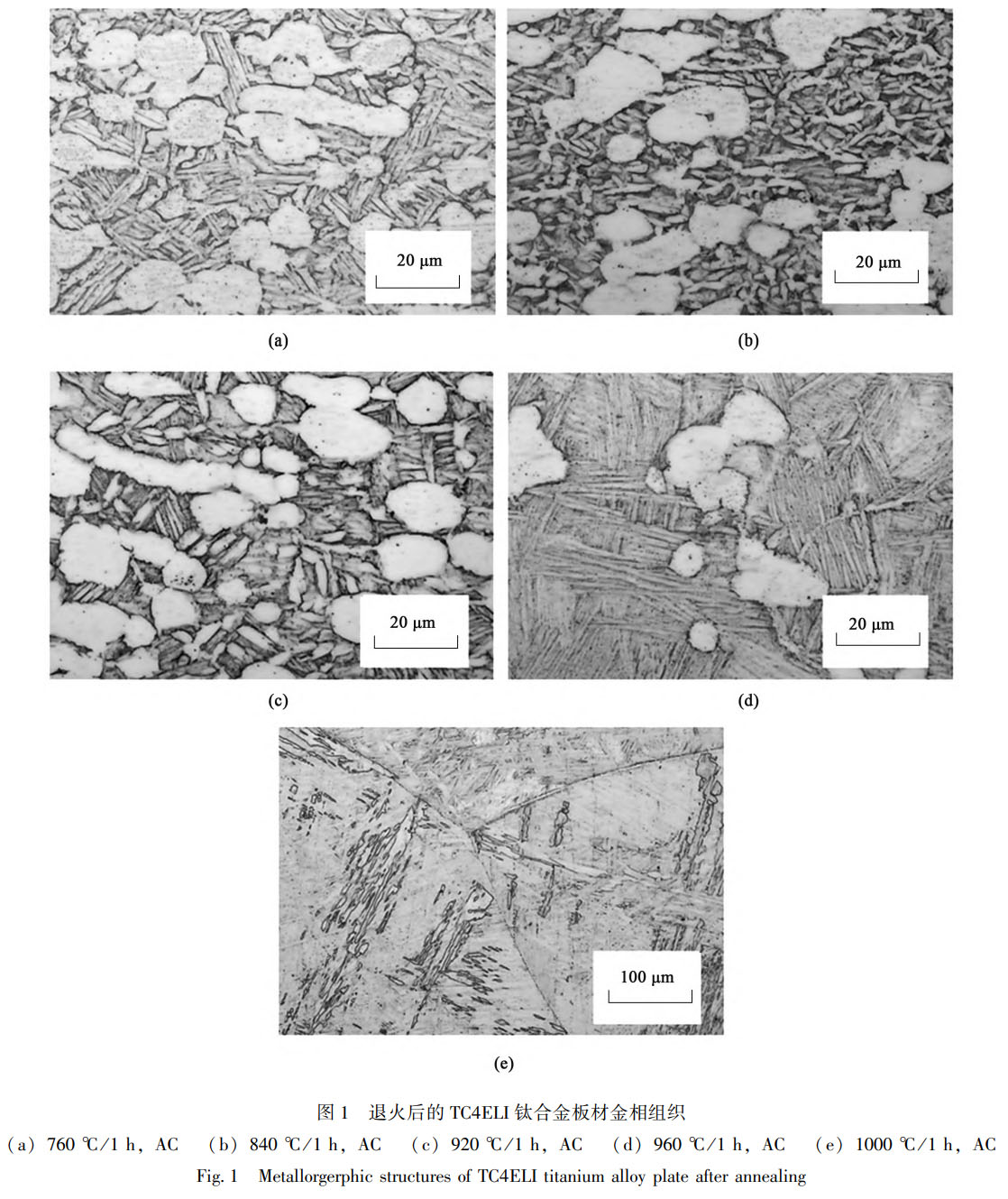 δ(bio)}-1.jpg