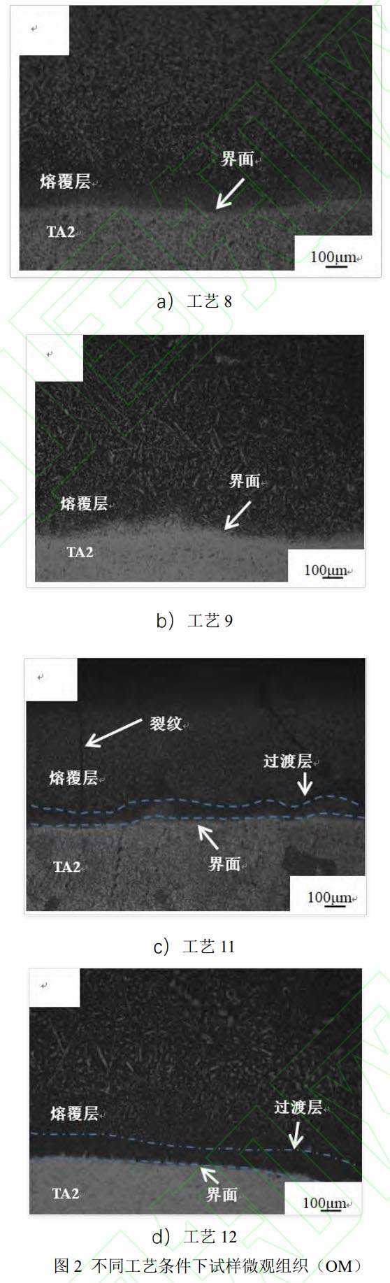 δ(bio)}-1.jpg